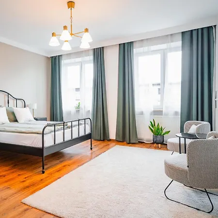 Clover By Meadow Krakkó